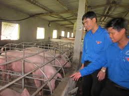 Jóvenes vietnamitas en desarrollo rural